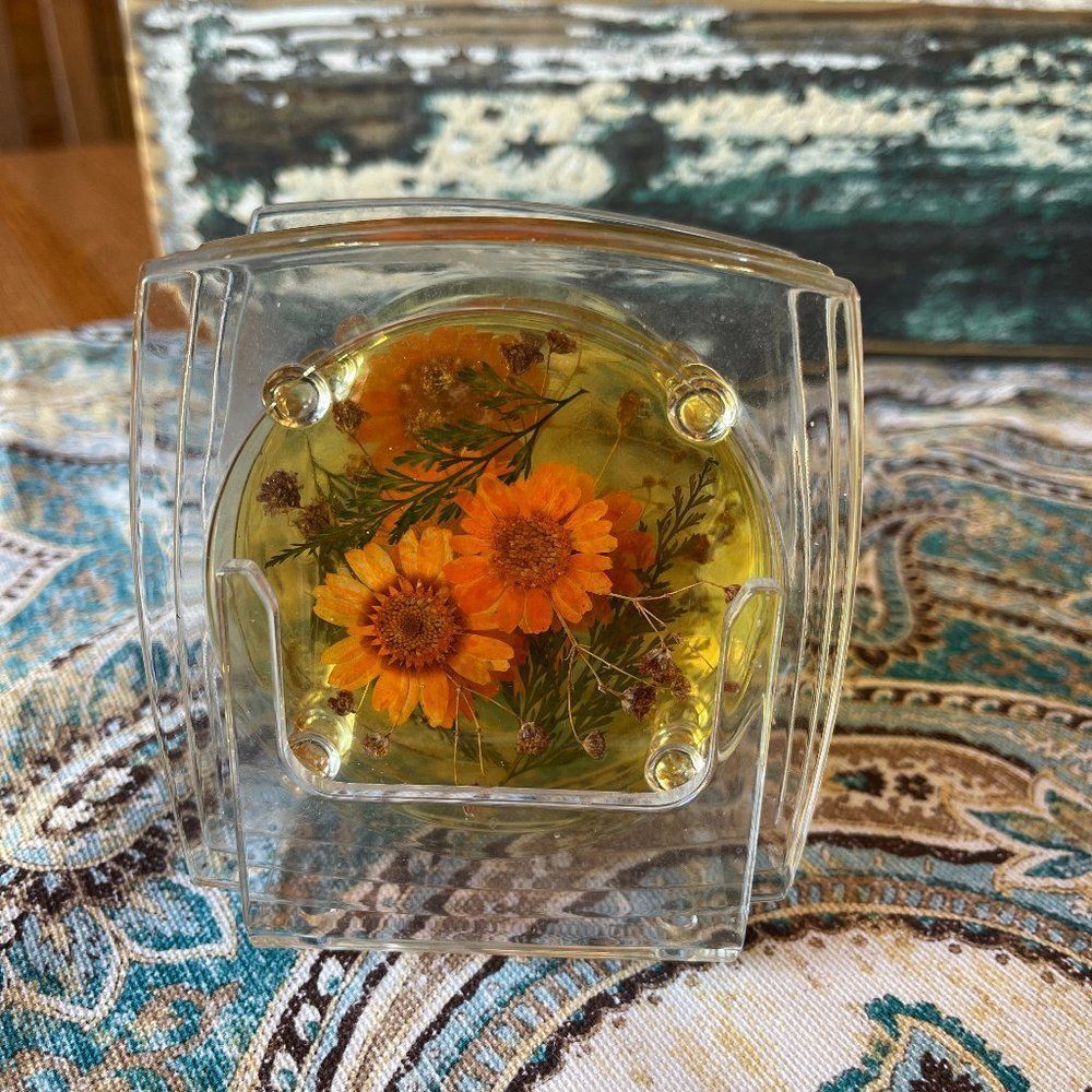 Lucite Coaster Set With Stand Dried Flower Acrylic Mid Century Modern Floral 5pc
